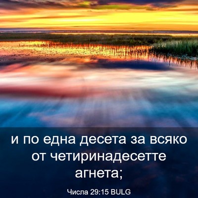 Picture 03 - Числа 29:15 BULG - и по една десета за всяко - Bible Verse Picture