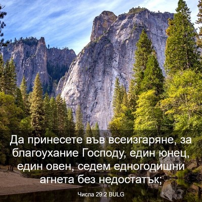 Picture 03 - Числа 29:2 BULG - Да принесете във - Bible Verse Picture