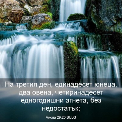 Picture 03 - Числа 29:20 BULG - На третия ден, единадесет - Bible Verse Picture