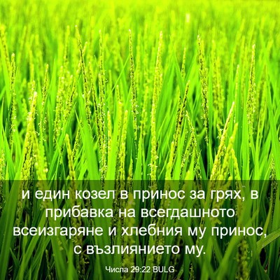 Picture 03 - Числа 29:22 BULG - и един козел в принос за - Bible Verse Picture