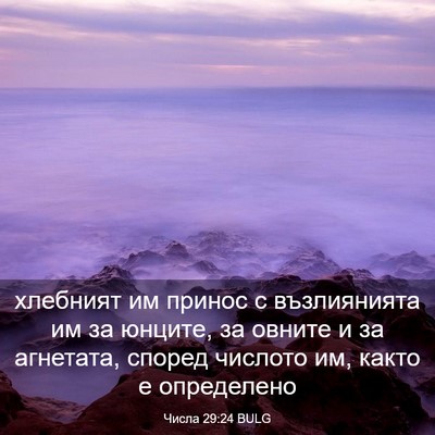 Picture 03 - Числа 29:24 BULG - хлебният им принос с - Bible Verse Picture
