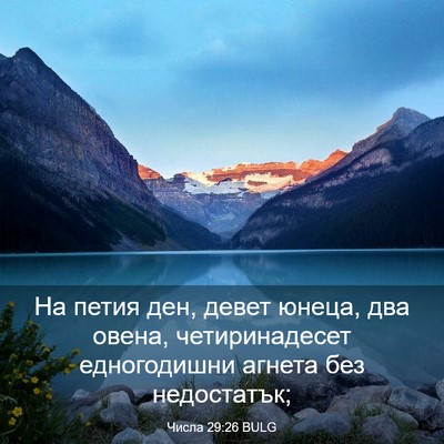 Picture 03 - Числа 29:26 BULG - На петия ден, девет юнеца, - Bible Verse Picture