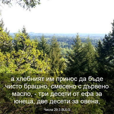 Picture 03 - Числа 29:3 BULG - а хлебният им принос да - Bible Verse Picture