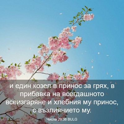Picture 03 - Числа 29:38 BULG - и един козел в принос за - Bible Verse Picture