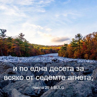 Picture 03 - Числа 29:4 BULG - и по една десета за всяко - Bible Verse Picture
