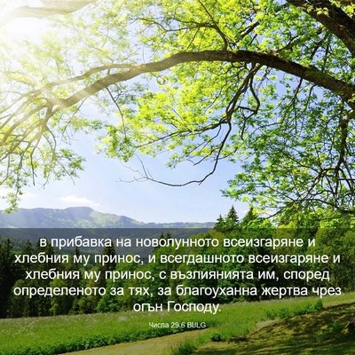 Picture 03 - Числа 29:6 BULG - в прибавка на новолунното - Bible Verse Picture