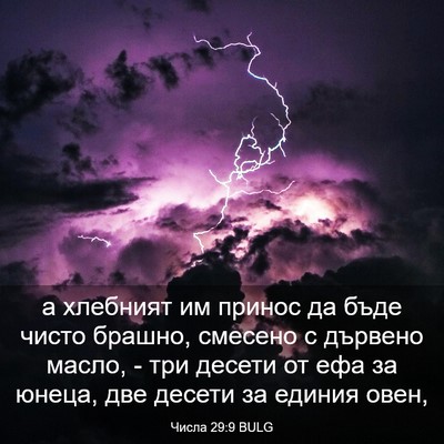 Picture 03 - Числа 29:9 BULG - а хлебният им принос да - Bible Verse Picture