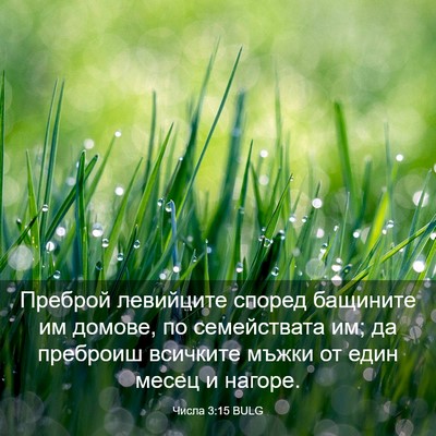 Picture 03 - Числа 3:15 BULG - Преброй левийците според - Bible Verse Picture
