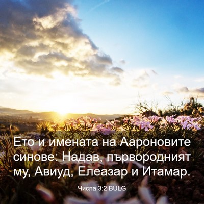 Picture 03 - Числа 3:2 BULG - Ето и имената на - Bible Verse Picture