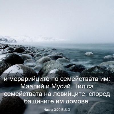 Picture 03 - Числа 3:20 BULG - и мерарийците по - Bible Verse Picture