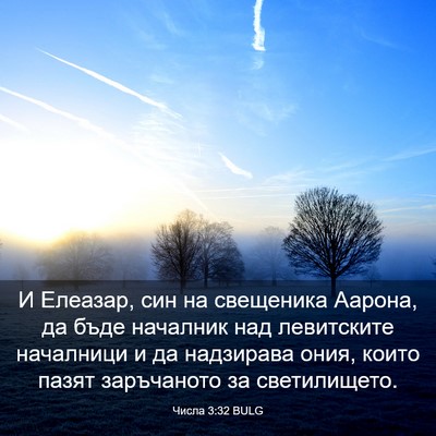 Picture 03 - Числа 3:32 BULG - И Елеазар, син на свещеника - Bible Verse Picture