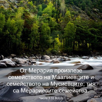 Picture 03 - Числа 3:33 BULG - От Мерария произлезе - Bible Verse Picture