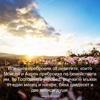 Picture 03 - Числа 3:39 BULG - Всичките преброени от - Bible Verse Picture