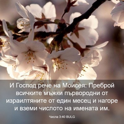 Picture 03 - Числа 3:40 BULG - И Господ рече на Моисея: - Bible Verse Picture