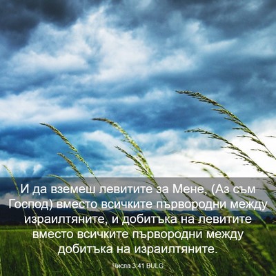 Picture 03 - Числа 3:41 BULG - И да вземеш левитите за - Bible Verse Picture
