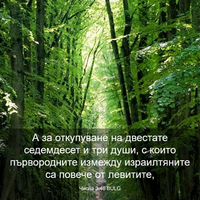 Picture 03 - Числа 3:46 BULG - А за откупуване на - Bible Verse Picture