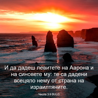 Picture 03 - Числа 3:9 BULG - И да дадеш левитете на - Bible Verse Picture