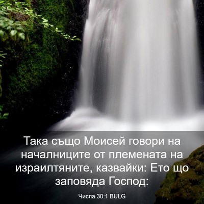 Picture 03 - Числа 30:1 BULG - Така също Моисей говори на - Bible Verse Picture