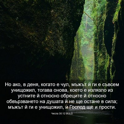 Picture 03 - Числа 30:12 BULG - Но ако, в деня, когато е чул, - Bible Verse Picture