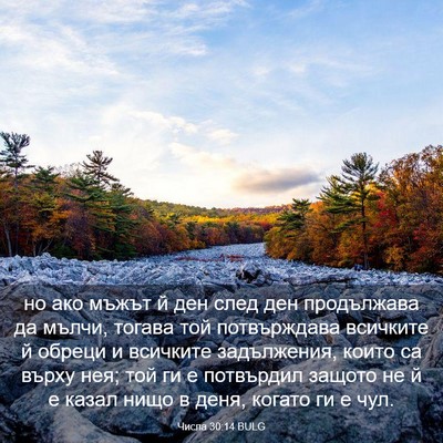 Picture 03 - Числа 30:14 BULG - но ако мъжът й ден след ден - Bible Verse Picture
