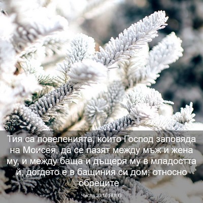 Picture 03 - Числа 30:16 BULG - Тия са повеленията, които - Bible Verse Picture