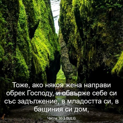 Picture 03 - Числа 30:3 BULG - Тоже, ако някоя жена - Bible Verse Picture
