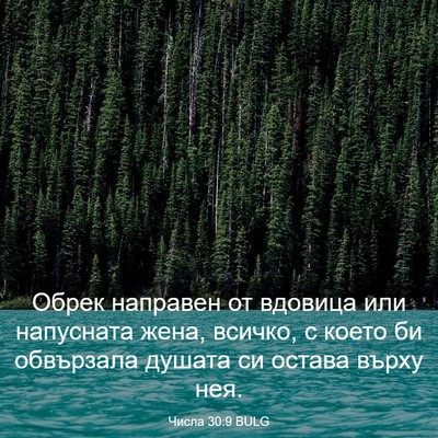 Picture 03 - Числа 30:9 BULG - Обрек направен от вдовица - Bible Verse Picture