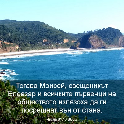 Picture 03 - Числа 31:13 BULG - Тогава Моисей, свещеникът - Bible Verse Picture