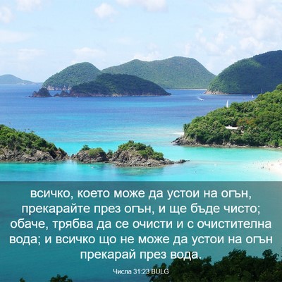 Picture 03 - Числа 31:23 BULG - всичко, което може да устои - Bible Verse Picture