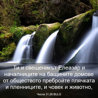 Picture 03 - Числа 31:26 BULG - Ти и свещеникът Елеазар и - Bible Verse Picture