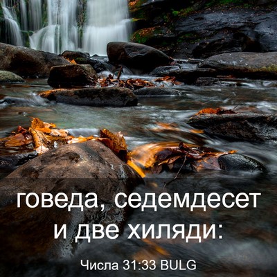 Picture 03 - Числа 31:33 BULG - говеда, седемдесет и две - Bible Verse Picture
