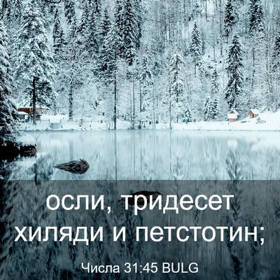 Picture 03 - Числа 31:45 BULG - осли, тридесет хиляди и - Bible Verse Picture
