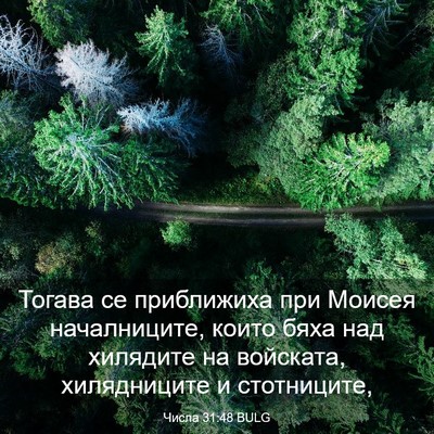 Picture 03 - Числа 31:48 BULG - Тогава се приближиха при - Bible Verse Picture