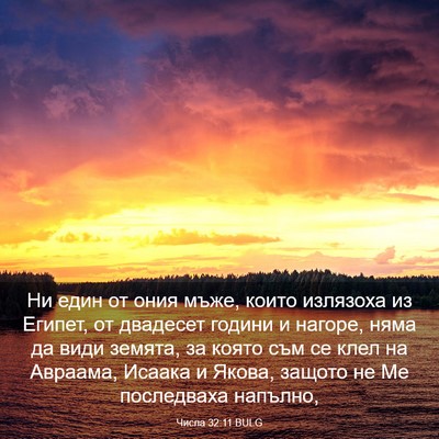 Picture 03 - Числа 32:11 BULG - Ни един от ония мъже, които - Bible Verse Picture