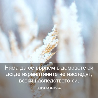 Picture 03 - Числа 32:18 BULG - Няма да се върнем в - Bible Verse Picture