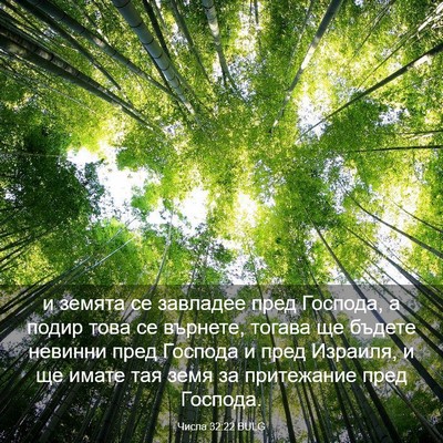 Picture 03 - Числа 32:22 BULG - и земята се завладее пред - Bible Verse Picture