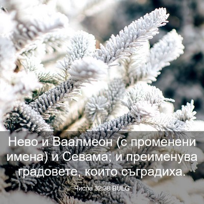 Picture 03 - Числа 32:38 BULG - Нево и Ваалмеон (с - Bible Verse Picture