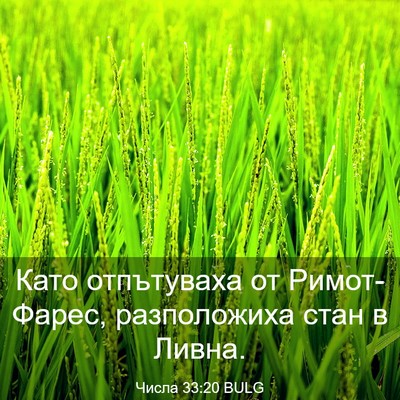 Picture 03 - Числа 33:20 BULG - Като отпътуваха от - Bible Verse Picture
