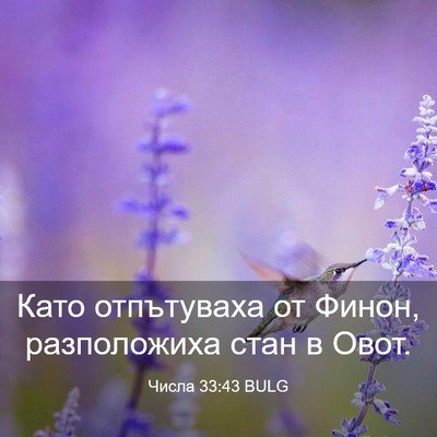 Picture 03 - Числа 33:43 BULG - Като отпътуваха от Финон, - Bible Verse Picture