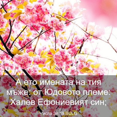 Picture 03 - Числа 34:19 BULG - А ето имената на тия мъже: - Bible Verse Picture