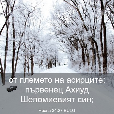 Picture 03 - Числа 34:27 BULG - от племето на асирците: - Bible Verse Picture