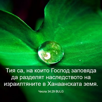 Picture 03 - Числа 34:29 BULG - Тия са, на които Господ - Bible Verse Picture