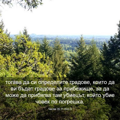 Picture 03 - Числа 35:11 BULG - тогава да си определите - Bible Verse Picture