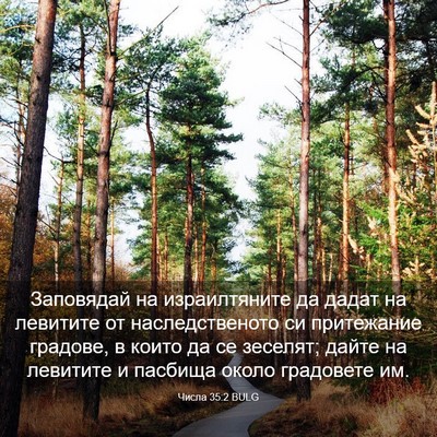Picture 03 - Числа 35:2 BULG - Заповядай на израилтяните - Bible Verse Picture