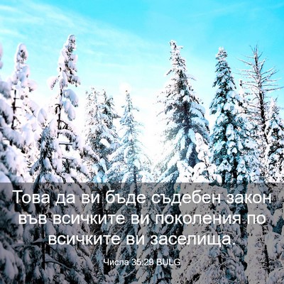 Picture 03 - Числа 35:29 BULG - Това да ви бъде съдебен - Bible Verse Picture