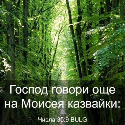Picture 03 - Числа 35:9 BULG - Господ говори още на - Bible Verse Picture