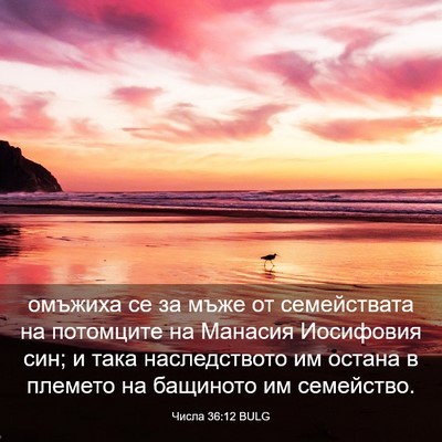 Picture 03 - Числа 36:12 BULG - омъжиха се за мъже от - Bible Verse Picture