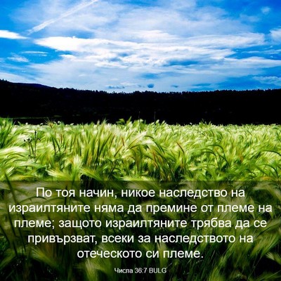 Picture 03 - Числа 36:7 BULG - По тоя начин, никое - Bible Verse Picture