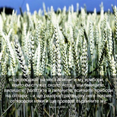 Picture 03 - Числа 4:14 BULG - и ще положат на него - Bible Verse Picture