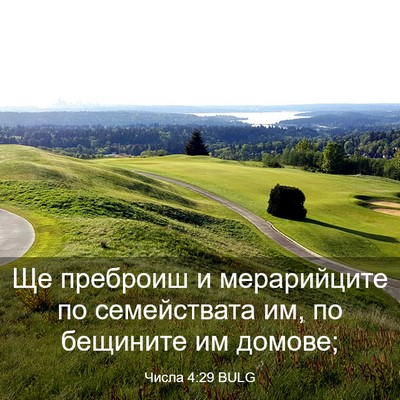 Picture 03 - Числа 4:29 BULG - Ще преброиш и мерарийците - Bible Verse Picture